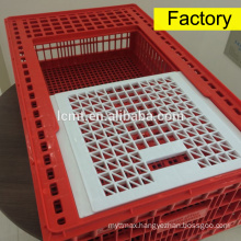 Plastic poultry chicken transport cage for sale.